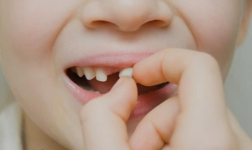 remove a loose tooth with attached gum